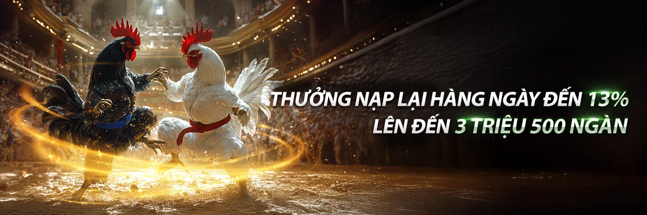 Hình ảnh đá gà 88 trực tiếp tại sàn đấu